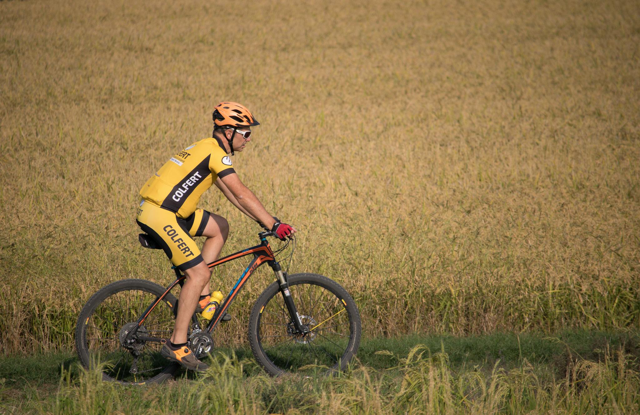 Cyclist rides mountain bike through a sunny field, enjoying outdoor recreation.